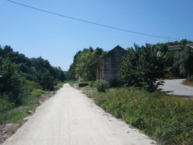 photo CIMG8906_zps688daec2.jpg