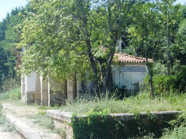 photo CIMG8907_zps7dde5e45.jpg