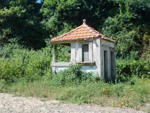 photo CIMG8910_zps88b26dee.jpg