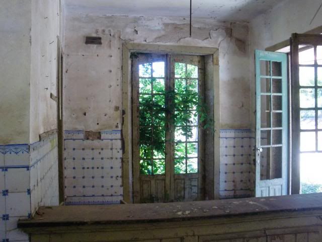 photo CIMG8915_zps3b18e5cf.jpg