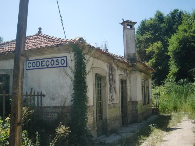 photo CIMG8917_zps281417d9.jpg