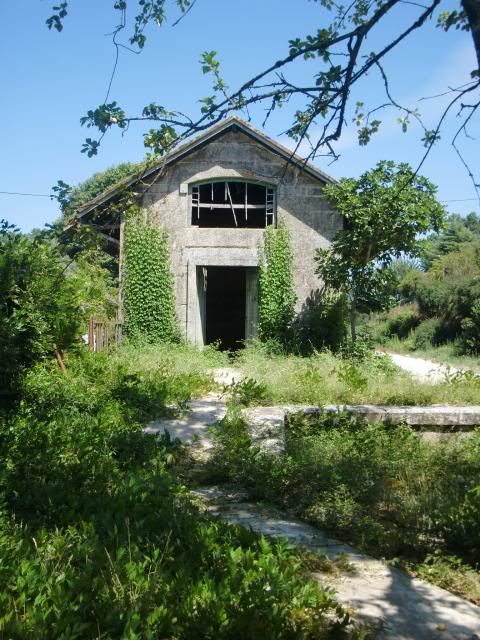 photo CIMG8919_zps6991f9bc.jpg