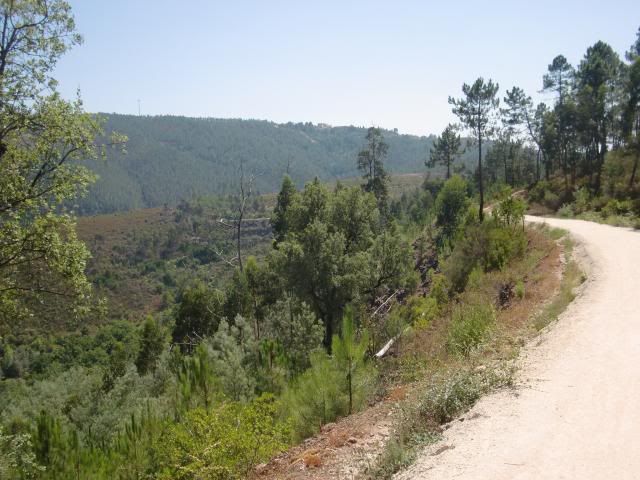 photo CIMG8925_zpsd6421d3e.jpg