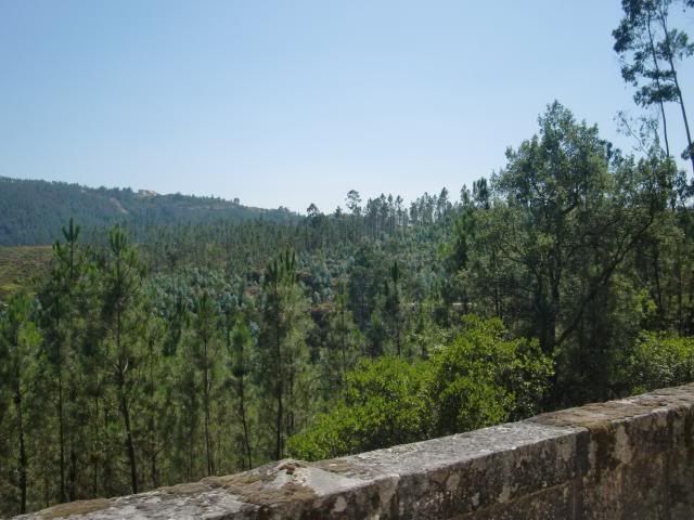 photo CIMG8927_zpsfddc5cb2.jpg