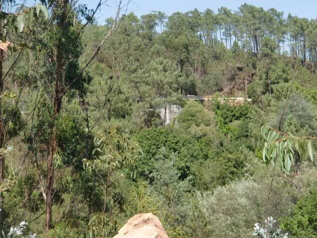 photo CIMG8928_zpsc3561510.jpg