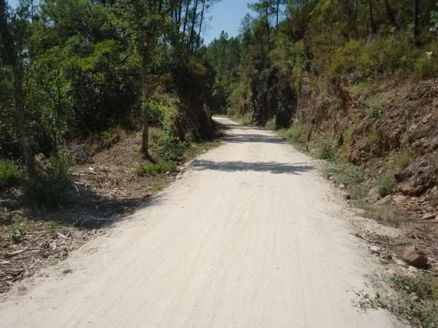 photo CIMG8929_zpsf1e9d62c.jpg