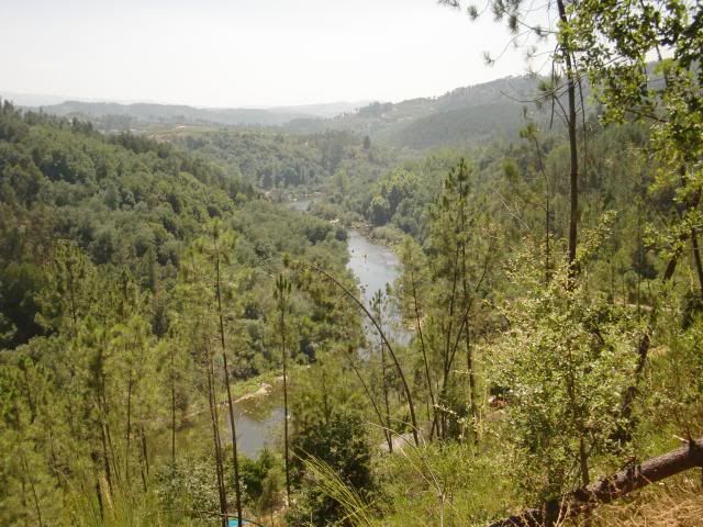 photo CIMG8937_zps79870b23.jpg