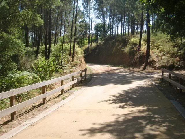 photo CIMG8939_zpsf21daaf6.jpg