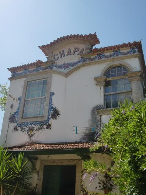 photo CIMG8942_zpse0196c53.jpg