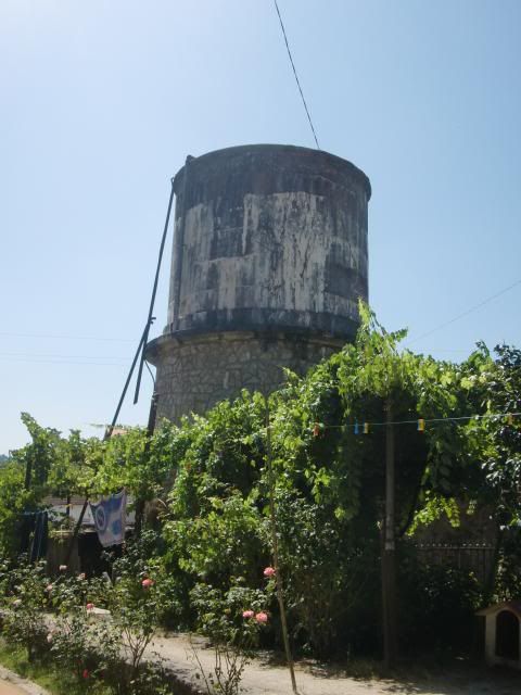 photo CIMG8945_zps5a6bfa9f.jpg