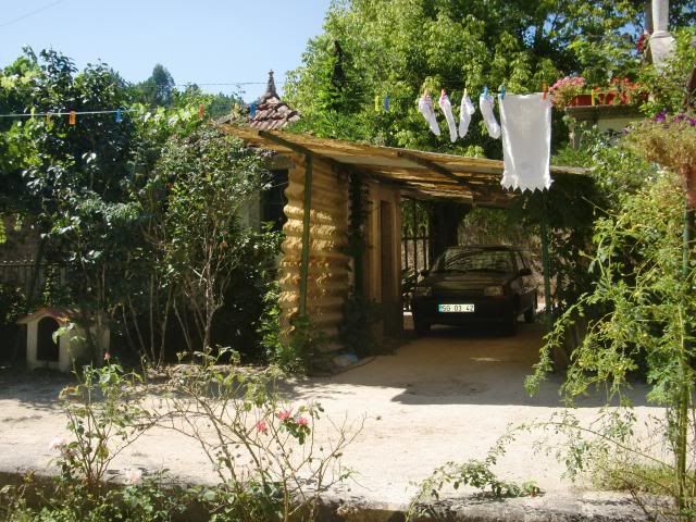 photo CIMG8946_zps0fcb809e.jpg