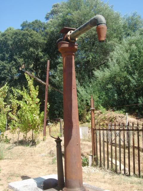 photo CIMG8948_zps03782271.jpg