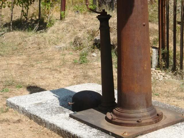 photo CIMG8949_zps74ff3f9d.jpg