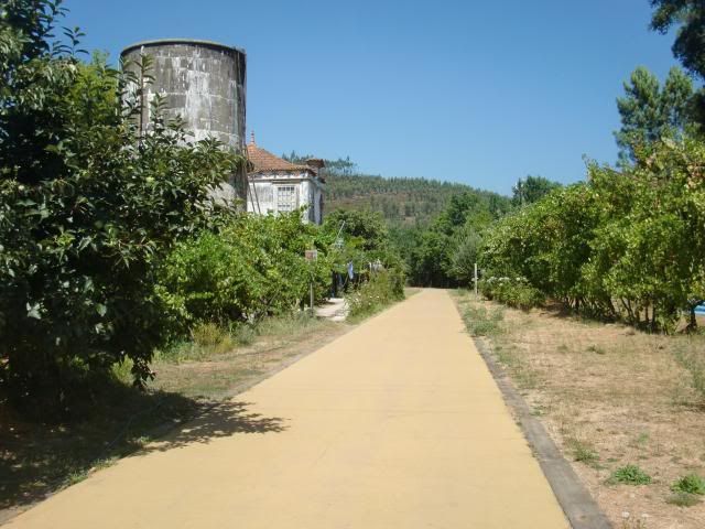 photo CIMG8950_zpsfd0303dd.jpg