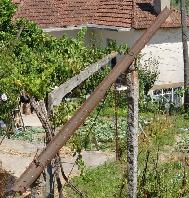 photo CIMG8953_zps40c99da5.jpg