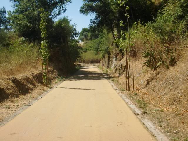 photo CIMG8956_zps84c9ee51.jpg