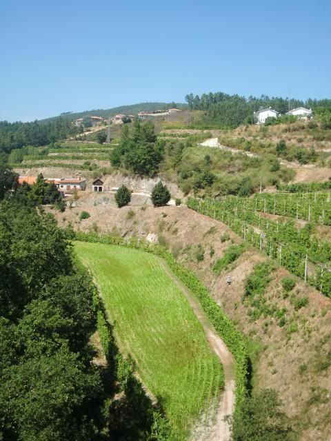 photo CIMG8959_zpsc31a6849.jpg