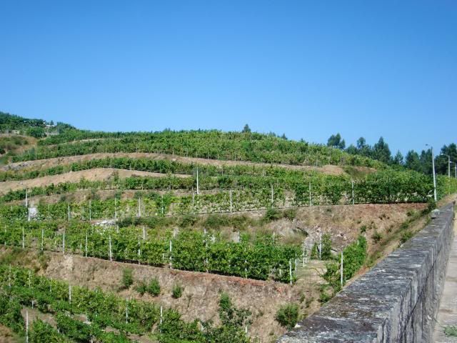 photo CIMG8960_zpsac267457.jpg