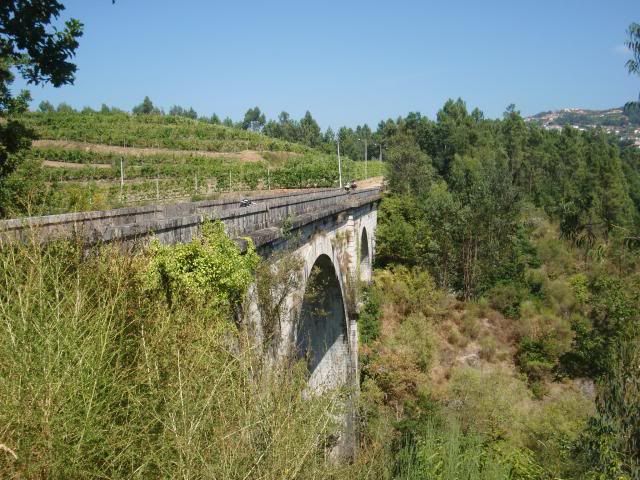 photo CIMG8965_zps04422214.jpg