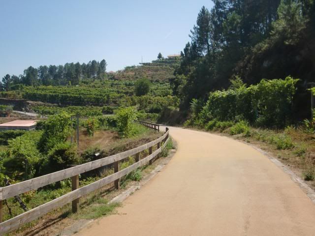 photo CIMG8972_zps2213e334.jpg