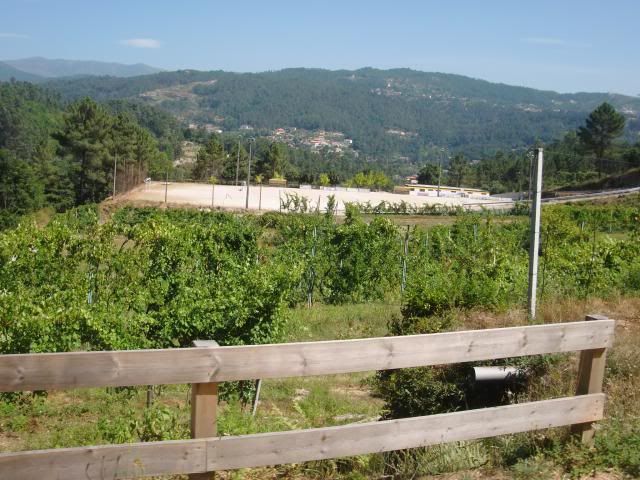 photo CIMG8973_zps03d0090a.jpg