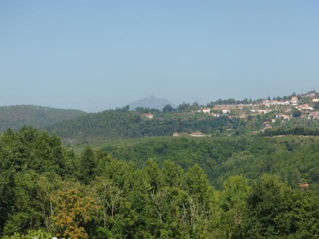 photo CIMG8975_zpsc3e614c5.jpg