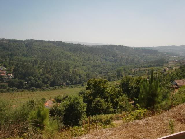 photo CIMG8977_zps04190376.jpg