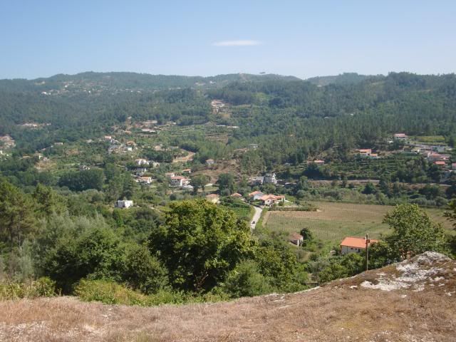 photo CIMG8984_zps63a6dee1.jpg