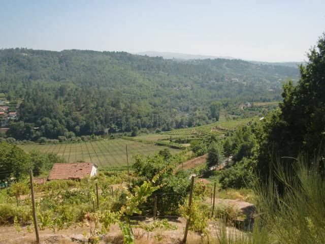 photo CIMG8985_zps948650ea.jpg