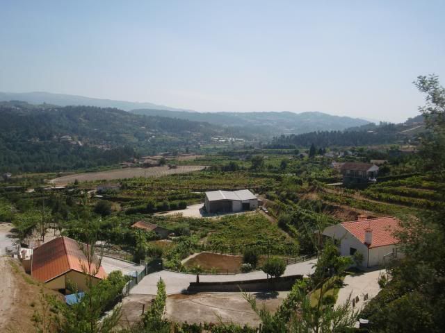 photo CIMG8988_zps1c2cb4e8.jpg