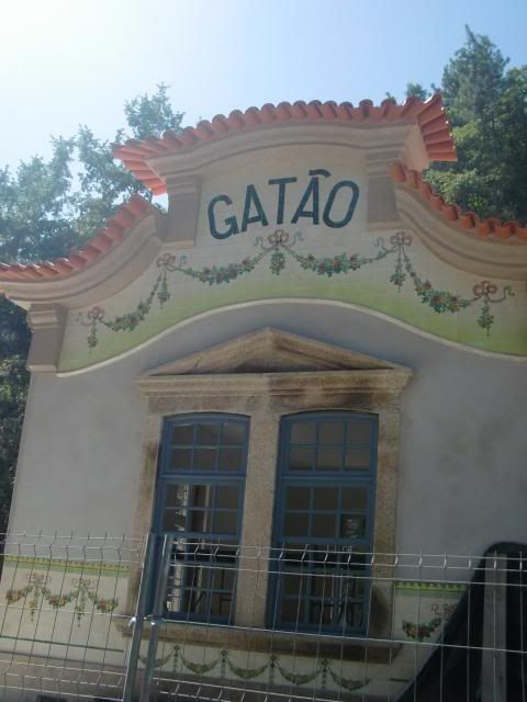 photo CIMG8996_zps5c4dbbb9.jpg