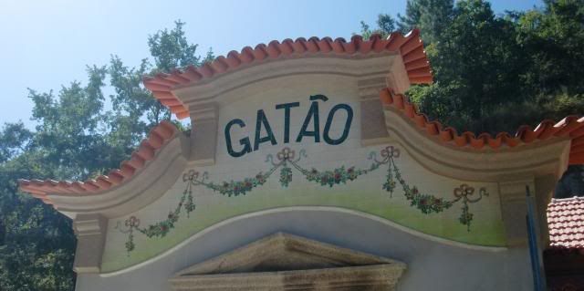 photo CIMG8997_zpsa94dfb54.jpg