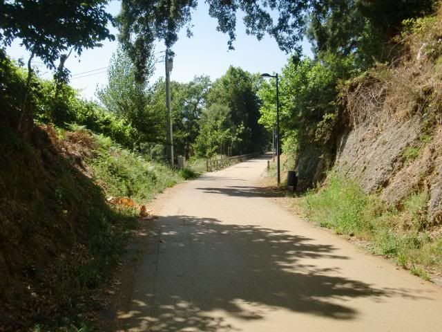 photo CIMG9006_zps6eed8bd6.jpg