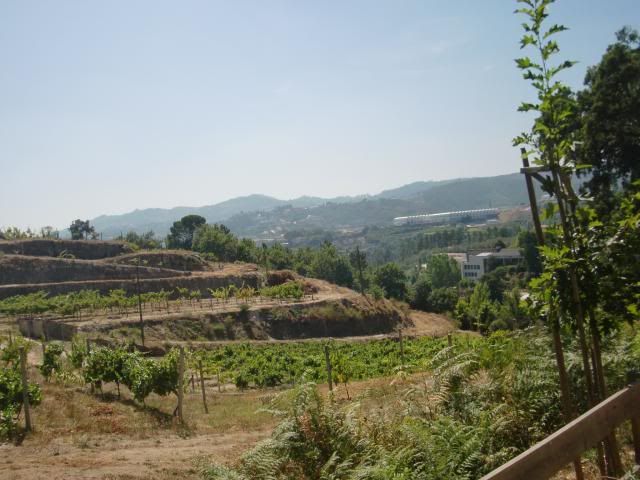 photo CIMG9010_zpsb65b6ea1.jpg