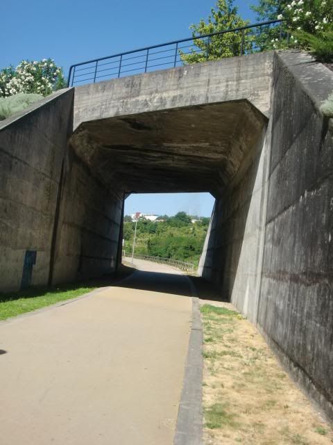 photo CIMG9024_zps29e7ec90.jpg