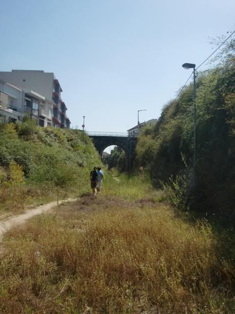 photo CIMG9028_zps286ea9c3.jpg