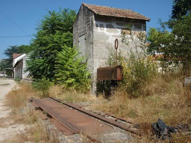 photo CIMG9029_zps60c26973.jpg