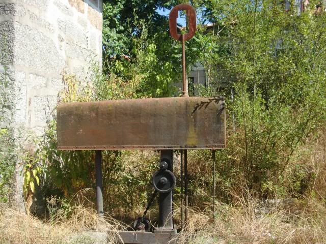 photo CIMG9030_zps20758b80.jpg