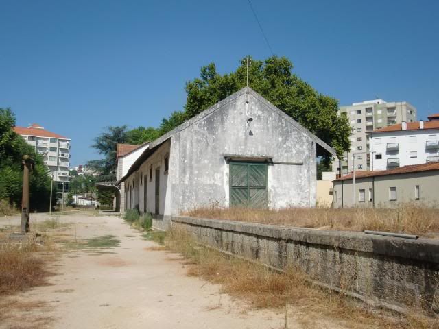 photo CIMG9031_zps5c6da8c0.jpg