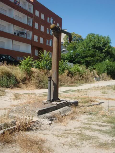 photo CIMG9032_zpsbcae5a0f.jpg