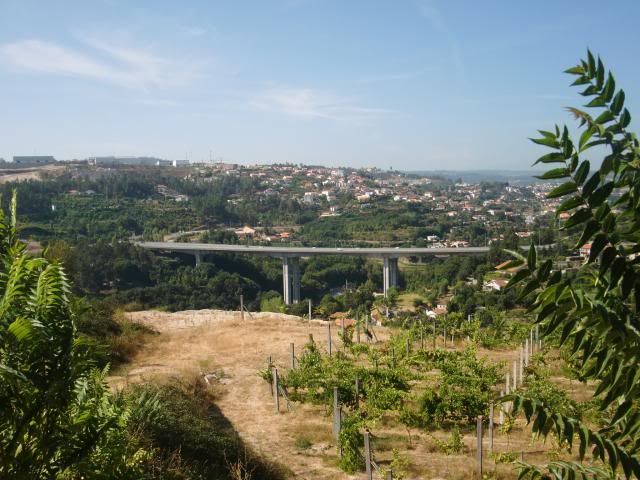 photo CIMG9050_zpse2804e98.jpg