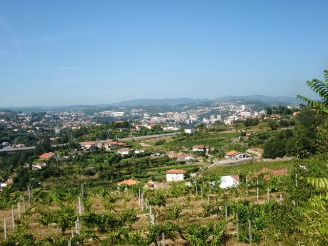 photo CIMG9051_zps5c764dc2.jpg