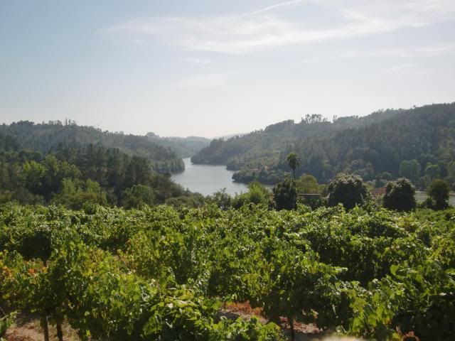 photo CIMG9056_zps6c428e0a.jpg