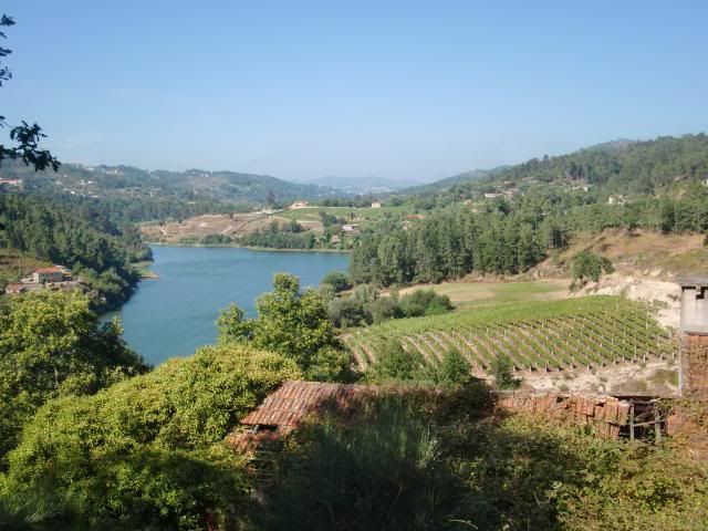 photo CIMG9057_zpsc72ce2fc.jpg