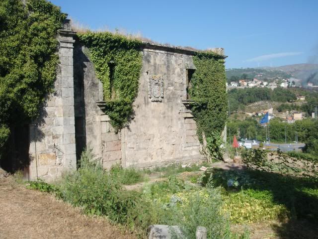 photo CIMG9061_zps6243c32b.jpg