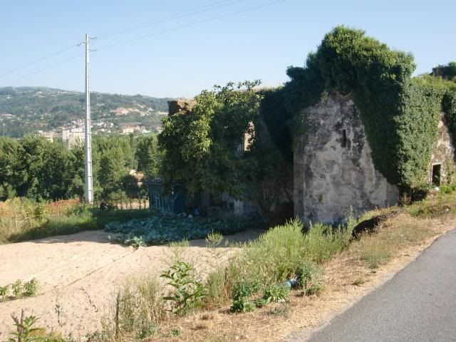 photo CIMG9062_zps56c18b40.jpg