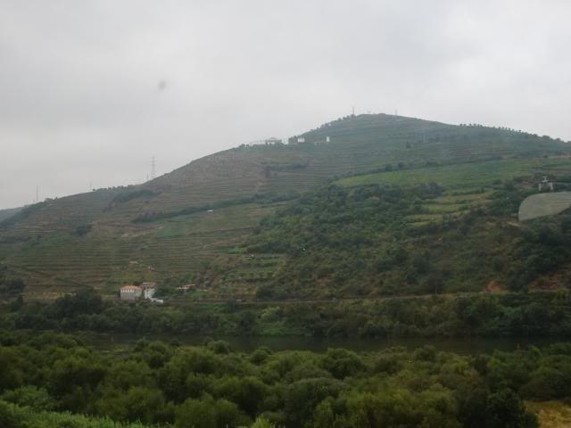 photo CIMG9109_zpsaf1d2f5a.jpg