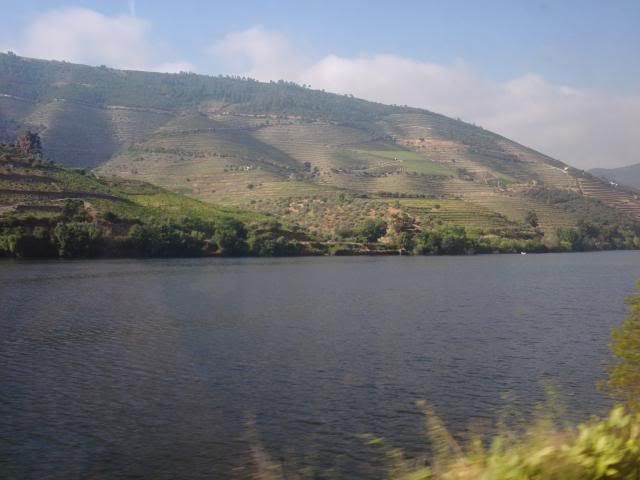 photo CIMG9120_zpsf6994f5b.jpg