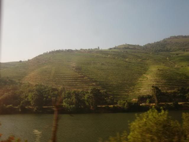 photo CIMG9124_zps73814f9e.jpg