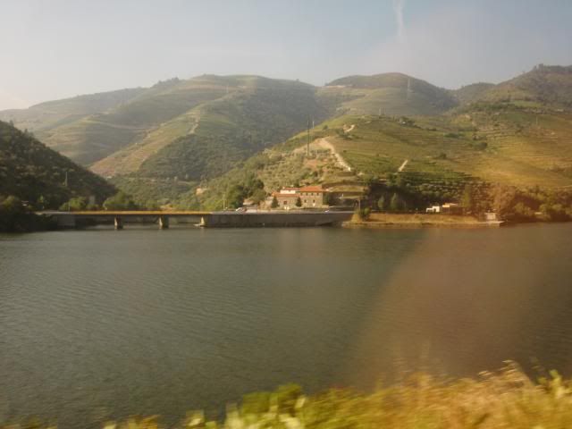 photo CIMG9126_zps2a34a0cd.jpg